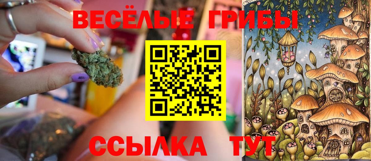 Изобильный  Галлюциногенные грибы Cubensis  Вход с VPN 
