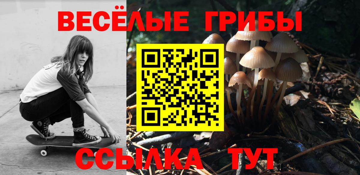 Псилоцибиновые грибы прущие грибы Изобильный